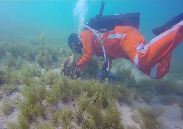 首页- Z6官网中国区人生就是博