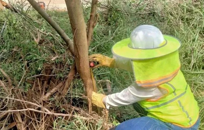 首页- Z6官网中国区人生就是博