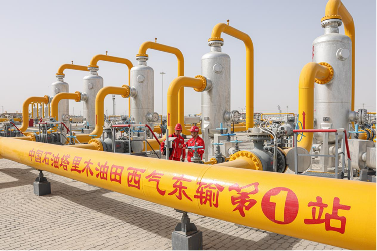 首页- Z6官网中国区人生就是博